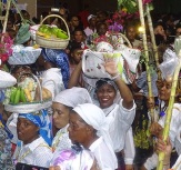 Porto Novo/São João: Quatro grupos garantem espetáculo único em mais um desfile de romaria