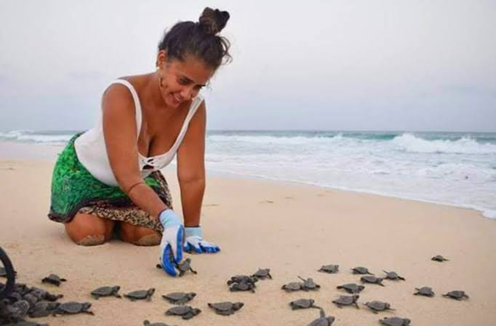 Boa Vista: Agosto regista pico da época das tartarugas marinhas com registro de mais de 33 mil ninhos e início de eclosões