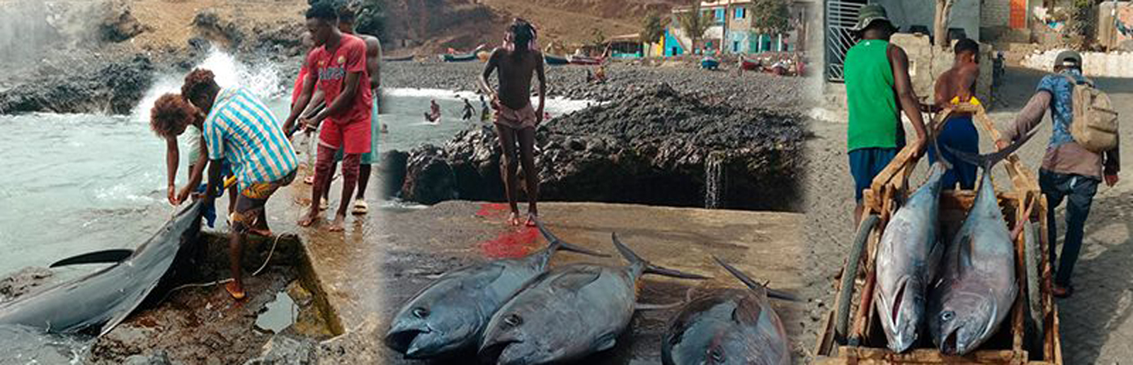 Pescadores de Porto Mosquito denunciam falta de gelo, combustível caro e ausência de estruturas de apoio