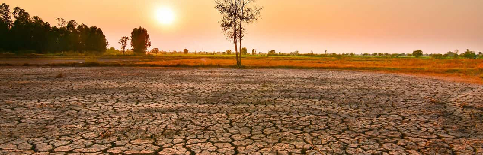 El Niño: quando atinge o pico e termina, cronologia completa