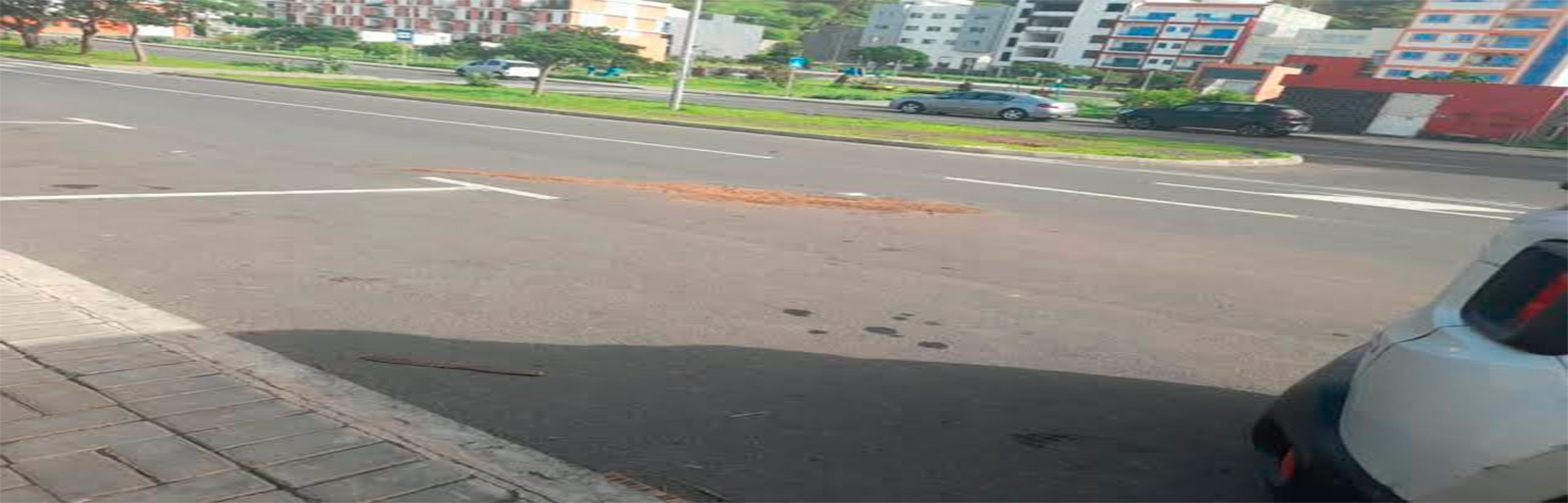 Praia: Criança de sete anos morre atropelada numa passadeira junto à Escola de Miraflores