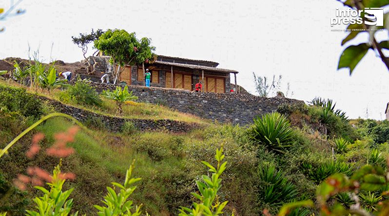 Santo Antão: Produtores do café esperam repetir boa produção em 2027 apesar da demora das precipitações