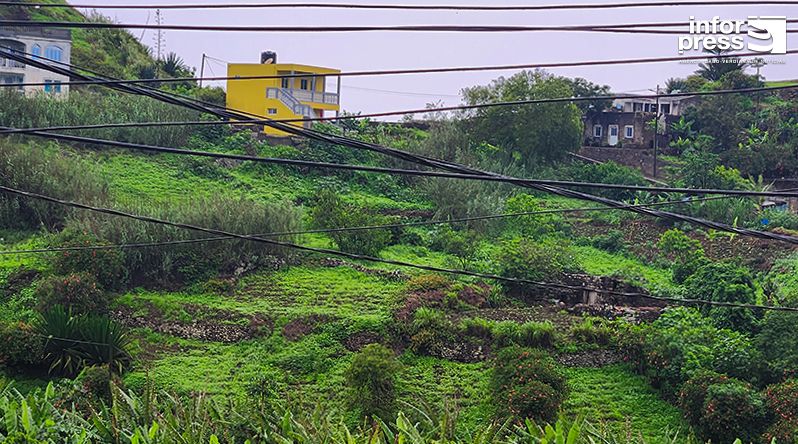 Brava: Associação Biflores destaca recuperação do ano agrícola e apela à diversificação das culturas