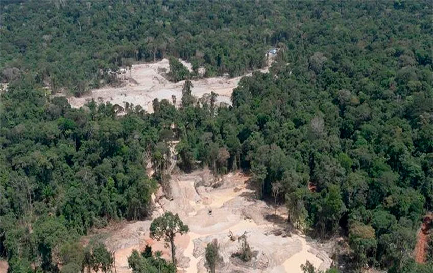 Greenpeace denuncia mineração ilegal em áreas de conservação na Amazónia brasileira